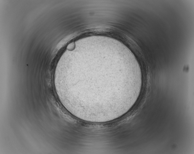 X0000112920970200910051104