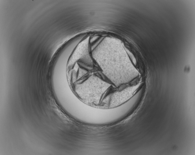 X0000112920973200910051104