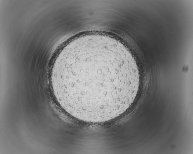 X0000112920974200910051104