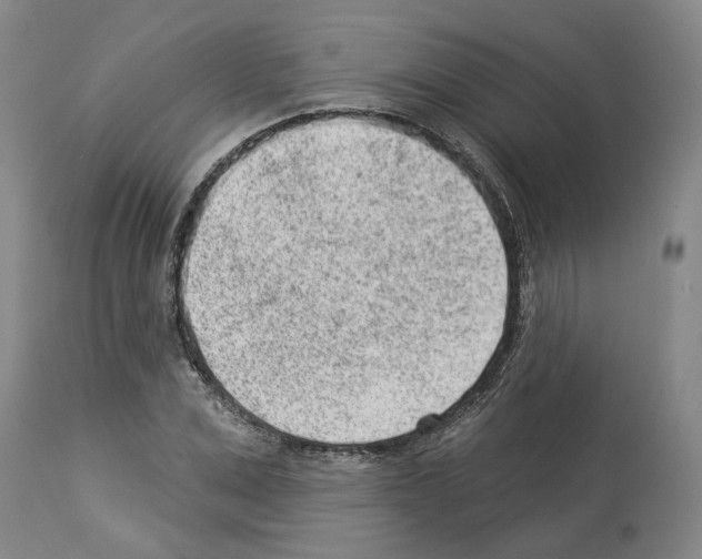 X0000112920975200910051104