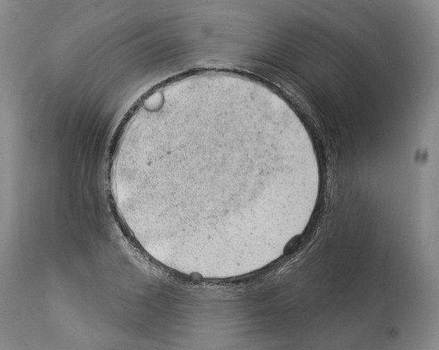 X0000112920976200910051104