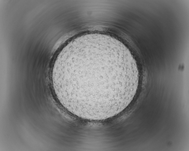 X0000112920978200910051104