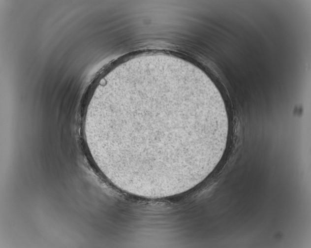 X0000112920979200910051104
