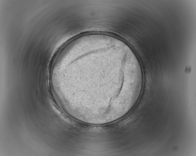 X0000112920982200910051103