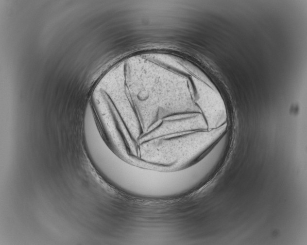X0000112920985200910051103
