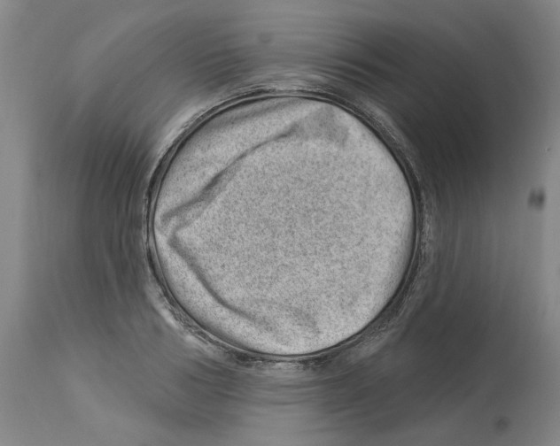 X0000112920986200910051103