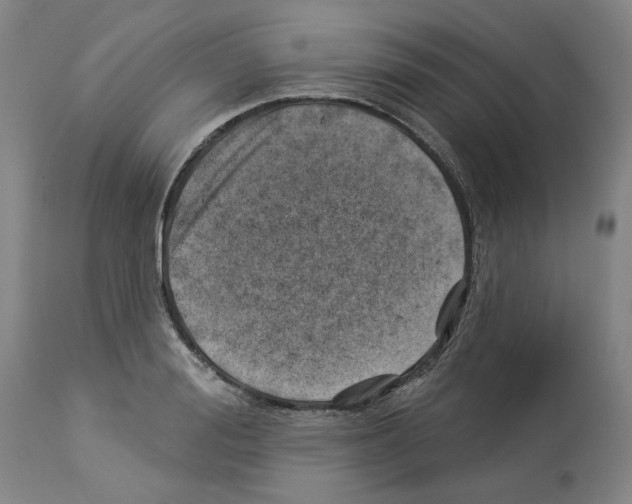 X0000112920988200910051103