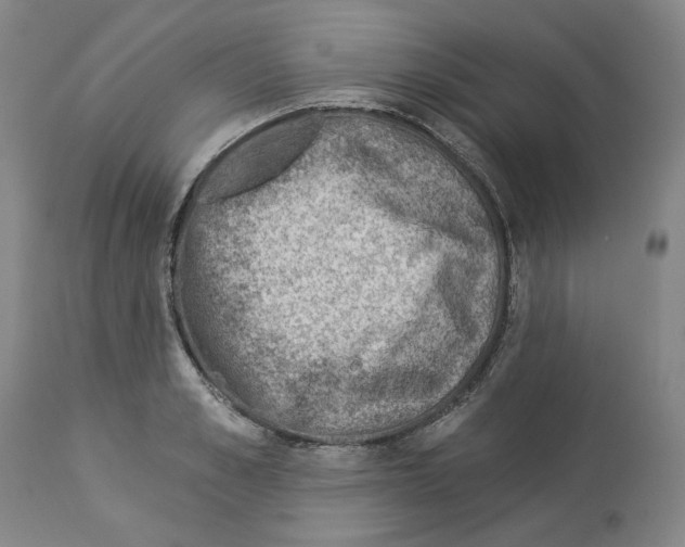 X0000112920989200910051103