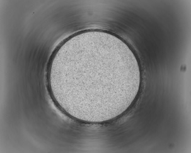 X0000112920991200910051103