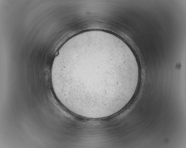 X0000112920993200910051103