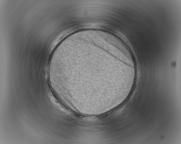 X0000112920994200910051103