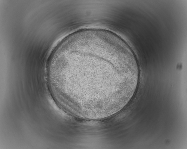 X0000112920998200910051103