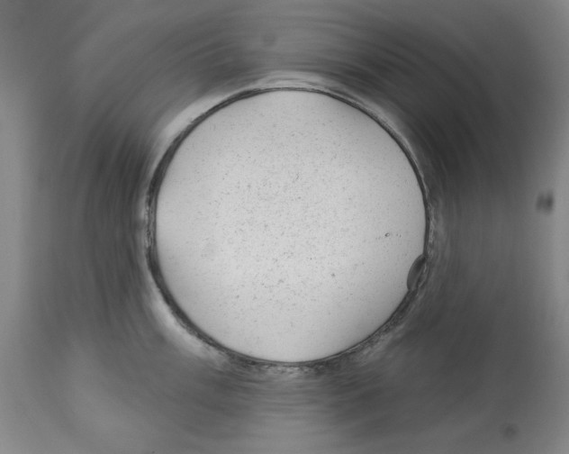 X0000112921003200910051103