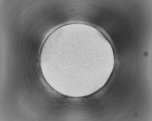 X0000112921004200910051103