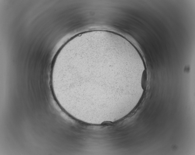 X0000112921005200910051103
