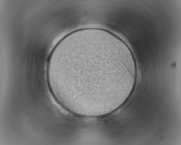 X0000112921006200910051103