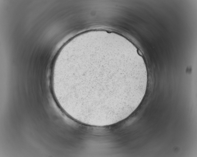 X0000112921007200910051103