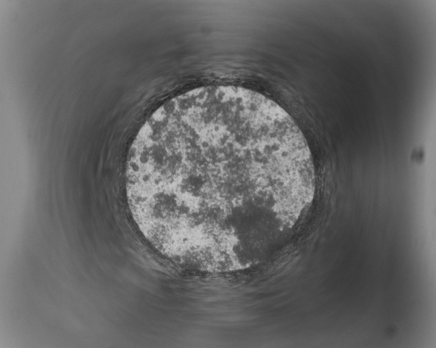 X0000112921009200910051102