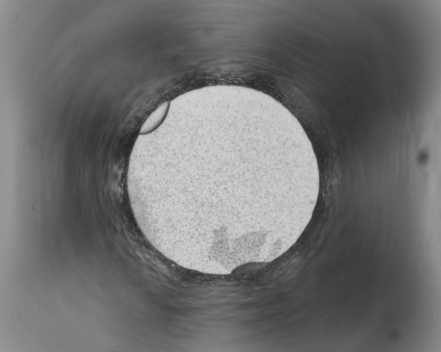X0000112921010200910051102