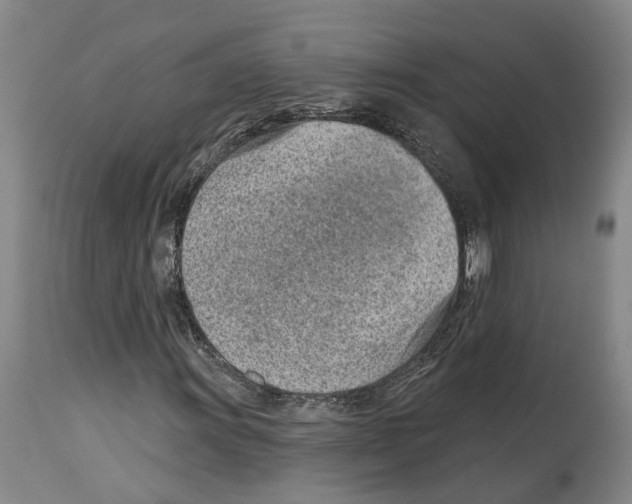 X0000112921011200910051102
