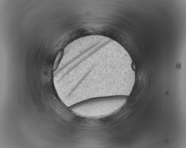 X0000112921012200910051103