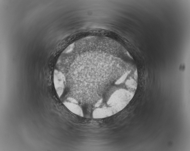 X0000112921013200910051103