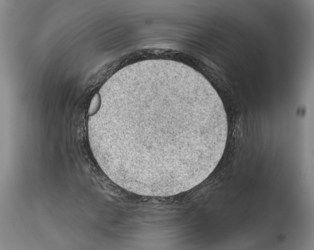 X0000112921014200910051103