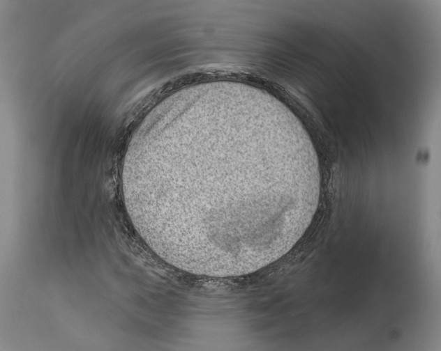 X0000112921015200910051103