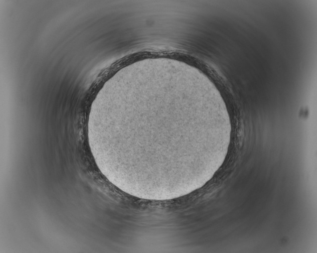 X0000112921016200910051103