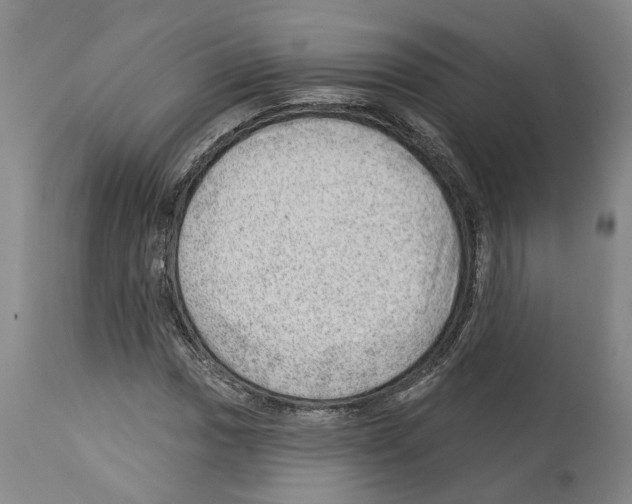 X0000112921017200910051103