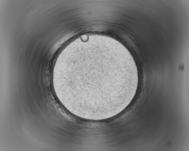 X0000112921018200910051103