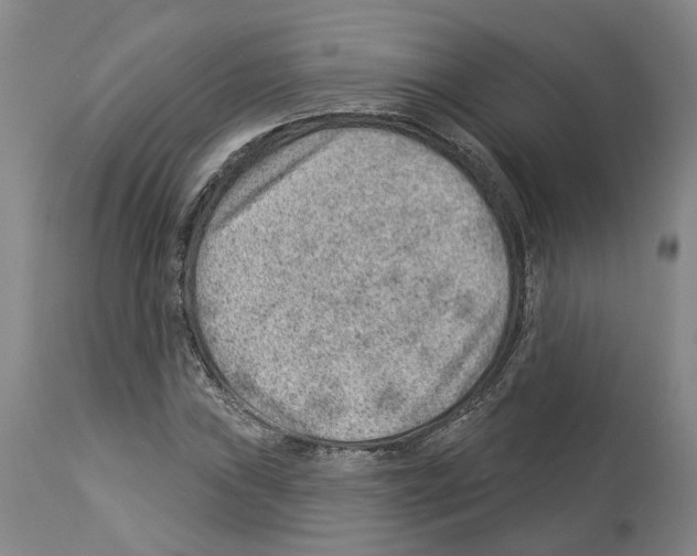 X0000112921019200910051103