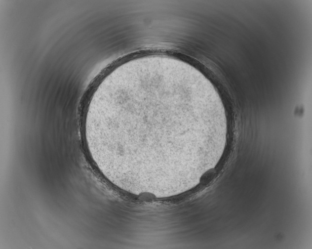 X0000112921022200910051103