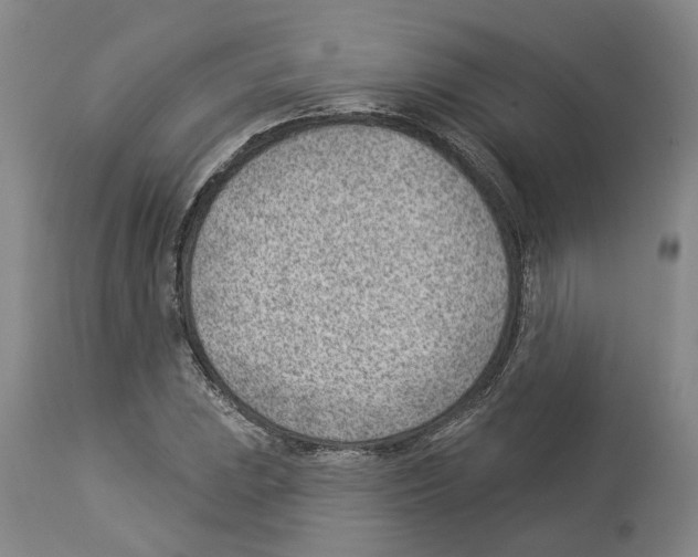 X0000112921023200910051103