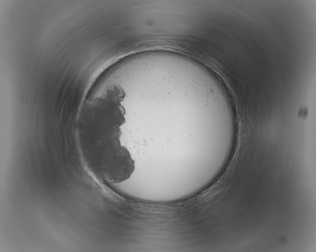 X0000112921024200910051103