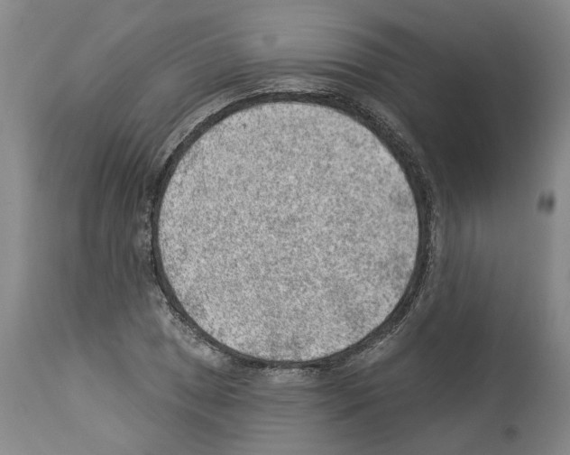 X0000112921025200910051103