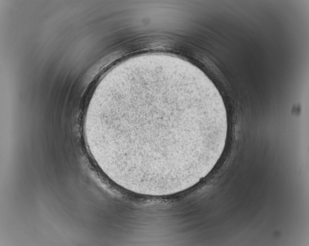 X0000112921026200910051103