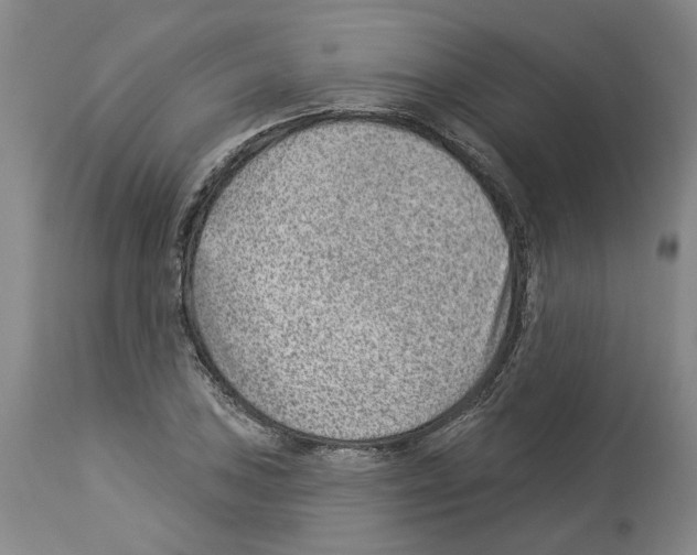 X0000112921027200910051103