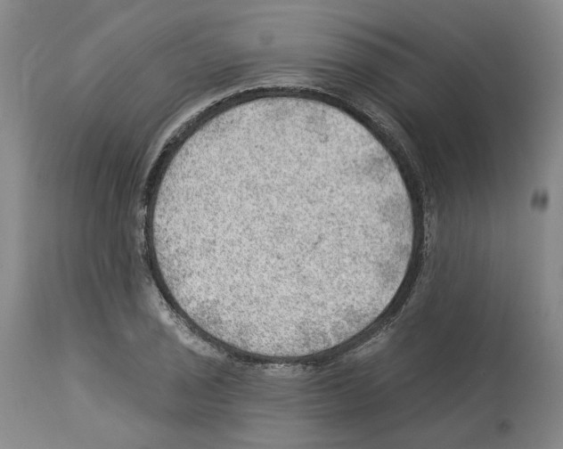 X0000112921029200910051103