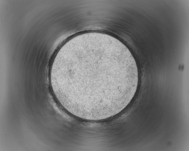 X0000112921030200910051103