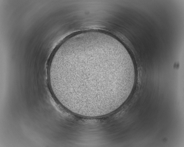 X0000112921031200910051103