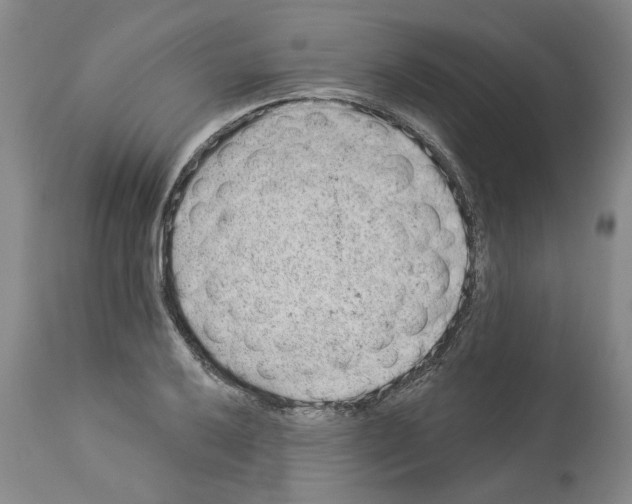 X0000112921032200910051103