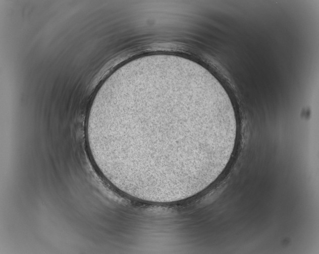 X0000112921033200910051103
