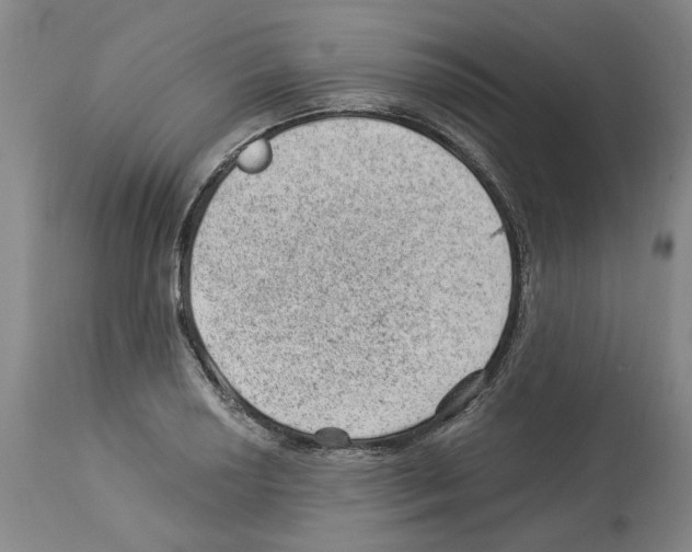 X0000112921034200910051103