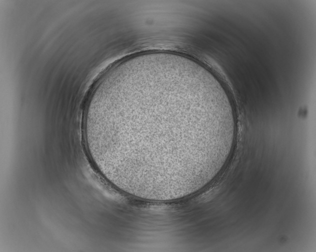 X0000112921035200910051103