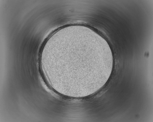 X0000112921038200910051103