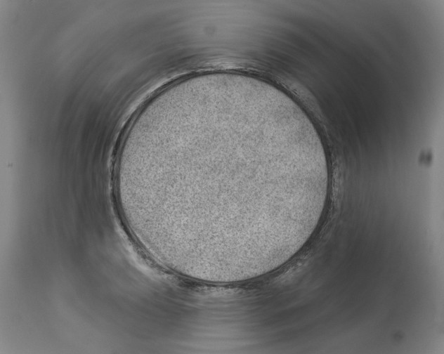 X0000112921039200910051103