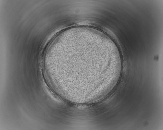 X0000112921043200910051103