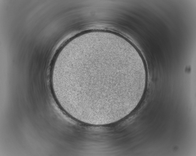 X0000112921045200910051103