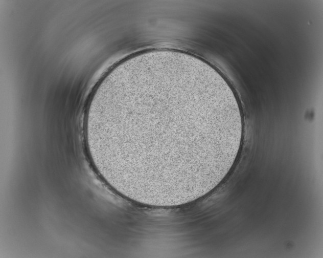 X0000112921048200910051103